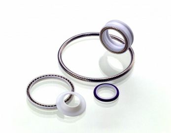 Uszczelnienie PTFE, Wiosna Energetyczne Teflon Seal, Teflon Obrotowy Seal, PTFE uszczelnienia statyczne